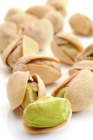 Cover of Website Password Organizer, Pistachios