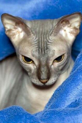 Cover of Don Sphinx Cat Glares at You Journal