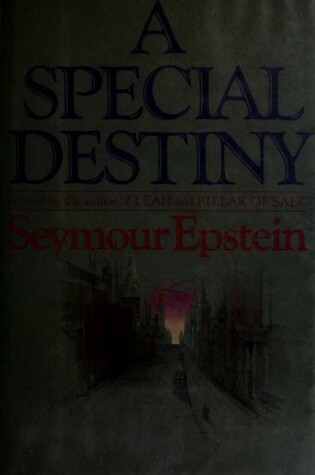 Cover of Special Destiny