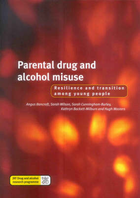 Book cover for Parental Drug and Alchohol Misuse