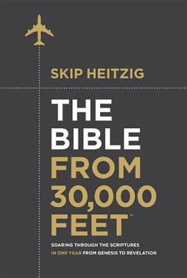 Book cover for The Bible from 30,000 Feet(tm)