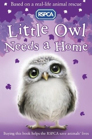 Cover of Little Owl Needs a Home