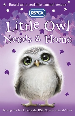 Book cover for Little Owl Needs a Home