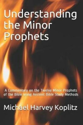 Cover of Understanding the Minor Prophets