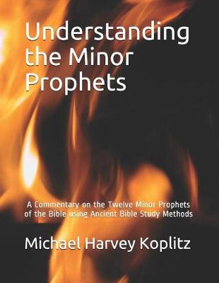 Book cover for Understanding the Minor Prophets