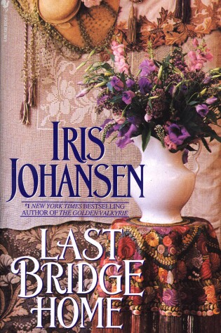 Cover of Last Bridge Home