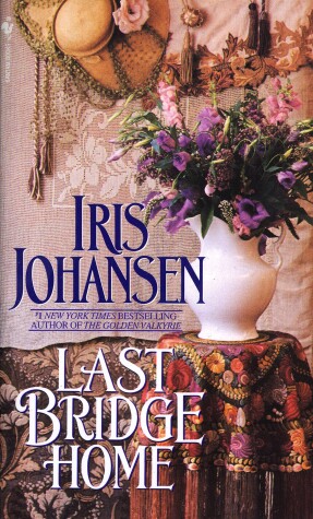 Book cover for Last Bridge Home