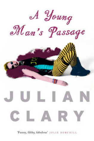 Cover of A Young Mans Passage, A