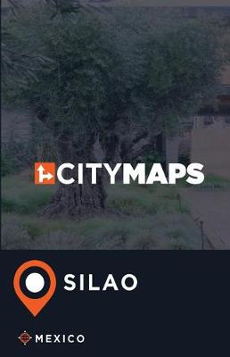 Book cover for City Maps Silao Mexico