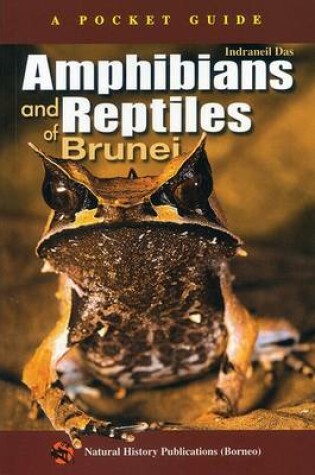 Cover of Amphibians and Reptiles of Brunei: A Pocket Guide