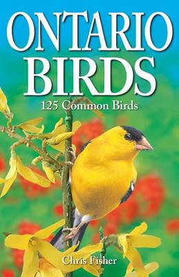 Book cover for Ontario Birds