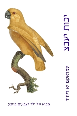 Book cover for צבעי תוכי