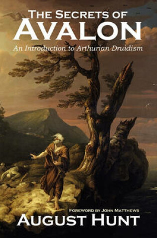 Cover of The Secrets of Avalon