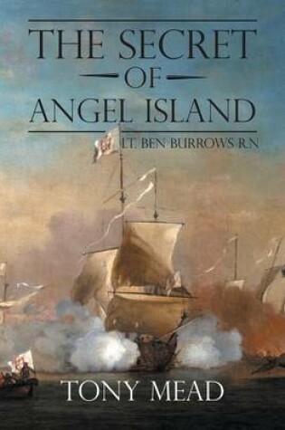 Cover of The Secret of Angel Island