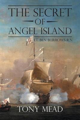 Book cover for The Secret of Angel Island