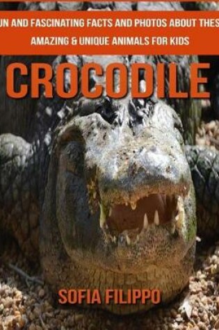 Cover of Crocodile