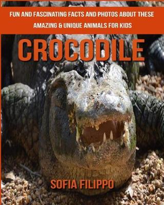 Book cover for Crocodile