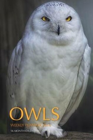 Cover of Owls Weekly Planner 2016