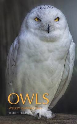 Book cover for Owls Weekly Planner 2016