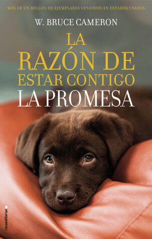 Book cover for La razón de estar contigo. La Promesa / A Dog's Promise