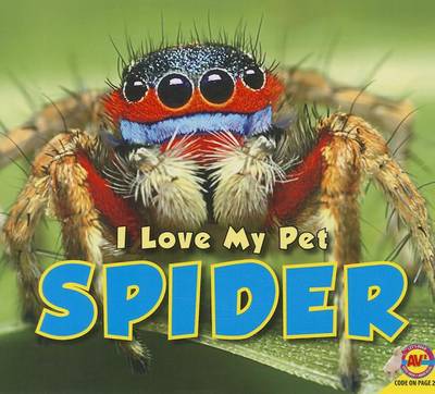 Cover of Spider