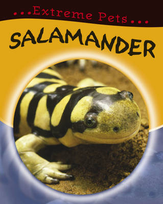 Book cover for Salamander