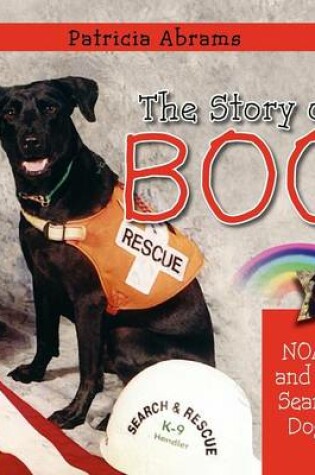 Cover of The Story of Boo, A Series of Books