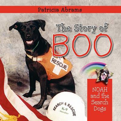 Book cover for The Story of Boo, A Series of Books