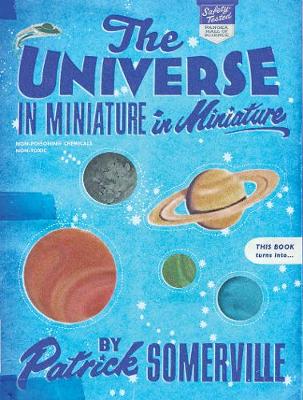 Book cover for The Universe in Miniature in Miniature