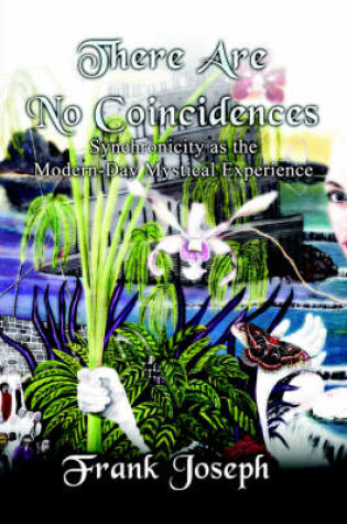 Cover of There Are No Coincidences