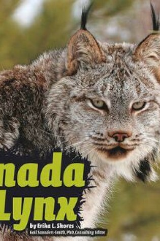 Cover of Canada Lynx