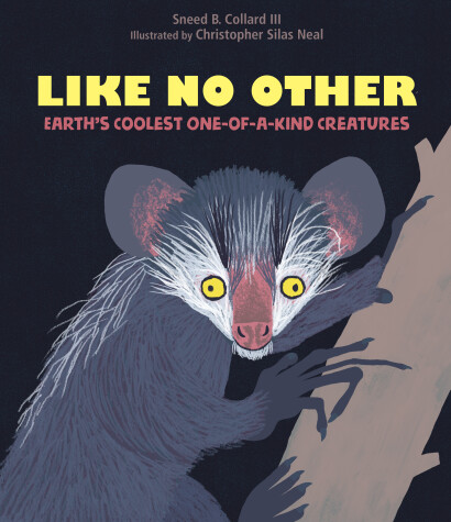 Book cover for Like No Other