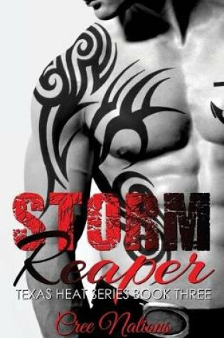 Cover of Storm Reaper