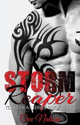 Book cover for Storm Reaper