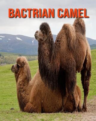 Book cover for Bactrian Camel