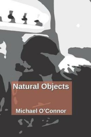 Cover of Natural Objects