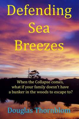 Book cover for Defending Sea Breezes