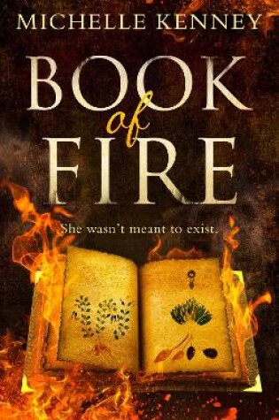 Cover of Book of Fire