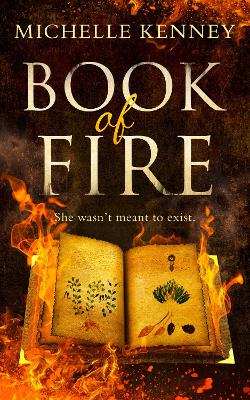 Cover of Book of Fire