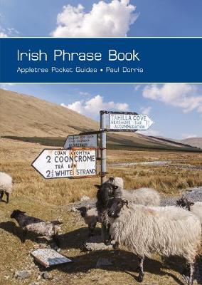 Book cover for Irish Phrase Book