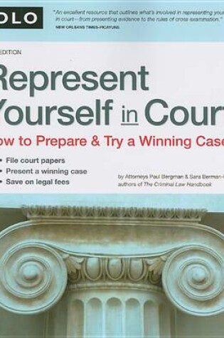 Cover of Represent Yourself in Court