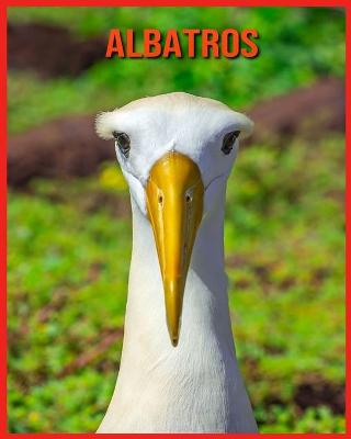 Book cover for Albatros