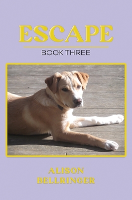 Book cover for Escape