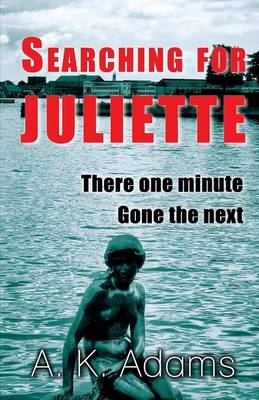 Book cover for Searching for Juliette