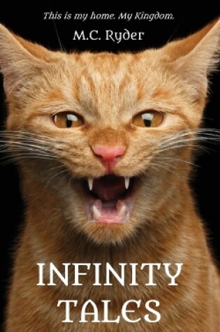 Cover of Infinity Tales