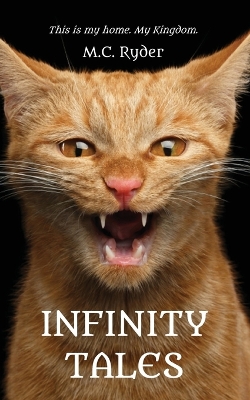 Book cover for Infinity Tales