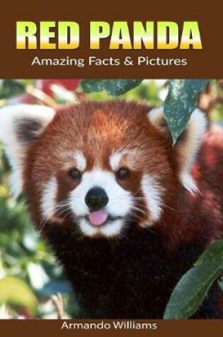 Cover of Red Panda