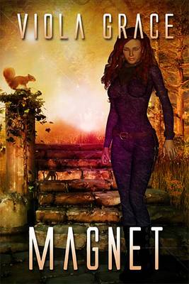 Book cover for Magnet
