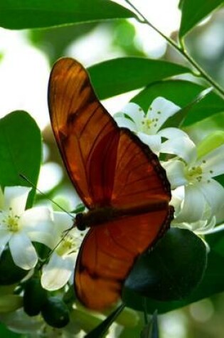 Cover of Julia Butterfly in a Tree, for the Love of Nature