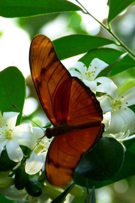 Book cover for Julia Butterfly in a Tree, for the Love of Nature